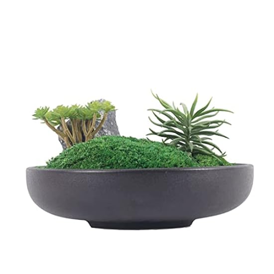 Chinese Simulation of Moss Office Desk Grünery Sample Room Entrance Bonsai Conference Room Ornaments(D Light Grey) 532888396