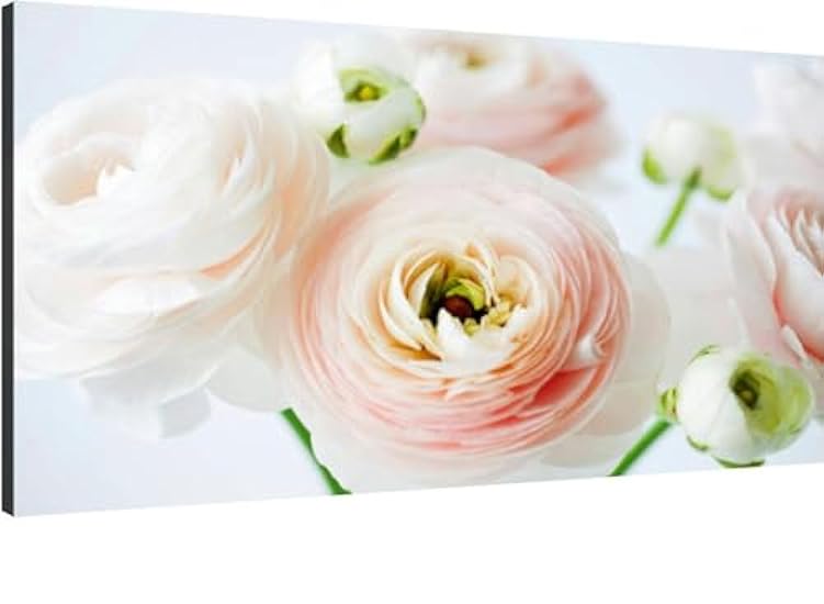 Beautiful tender blossoming fresh cut bouquet Ranunculus asiaticus Per Canvas Wall Art Decor Paintings Pictures for Bedroom Wall Decor Above Bed Living Room Wall Decoration Bathroom Office Artwork 621638728