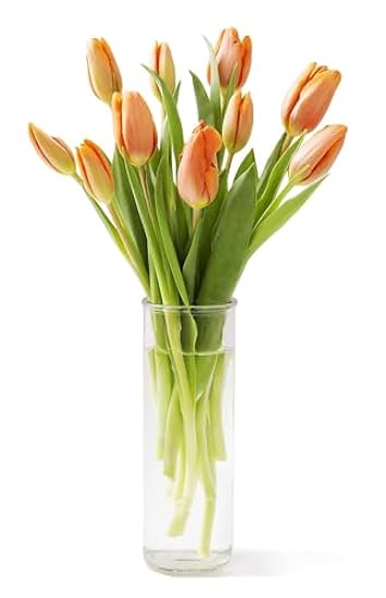 KaBloom PRIME NEXT DAY DELIVERY : Valentine´s Day Collection - Bouquet of 10 Orange Tulips with Vase Gift for Birthday, Sympathy, Anniversary, Get Well, Thank You, Valentine, Mother’s Day Flowers 267044858