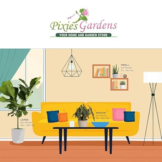 Pixies Gardens Artificial : Bonsai in Grün Farbe 357281502