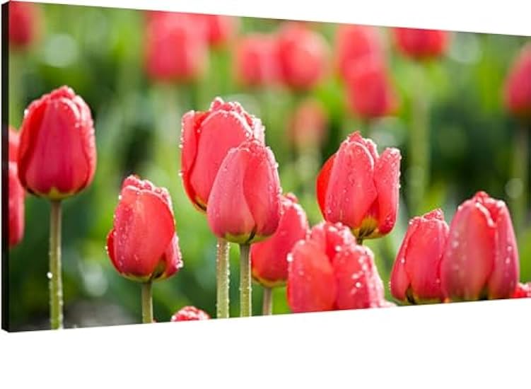 Canvas Wall Art for Living Room Bedroom Bouquet multicolor tulips fresh spring flowers Big Large Wall Art Decor Framed Painting Wall Pictures Prints Artwork Office 773552799
