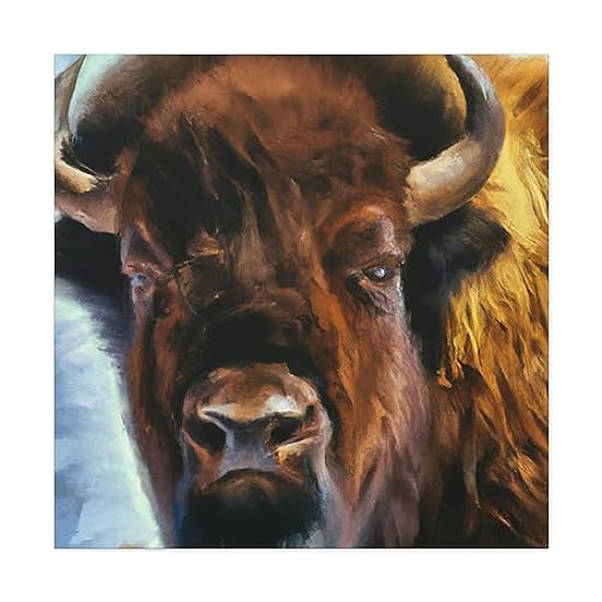 Bison of the Prairie - Canvas 30″ x 30″ / Premium Galle