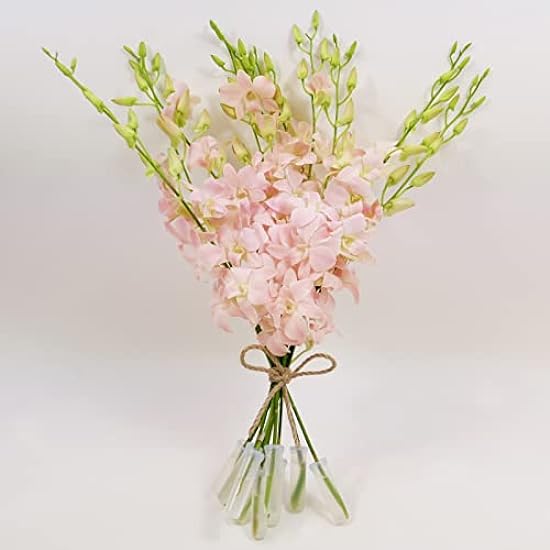 Athena´s Garden OC-DEN-JINDLL Jinda Sweet Cut Orchids, Long, Pink 68082138