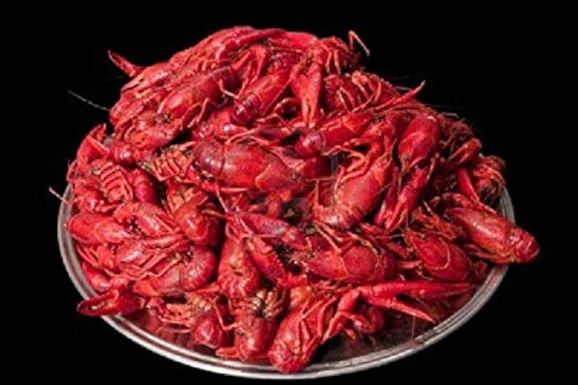Sea Best Whole Cooked Crawfish, 5 Pound - 2 per case. 3