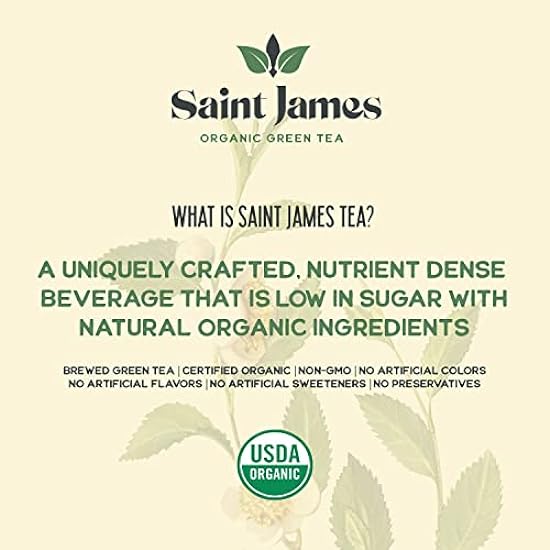 Saint James Iced Tee | Organic Grün Tee | Organic, Non-GMO Grün Tea, 12 Pack (16.9oz each) (Variety) 349761592