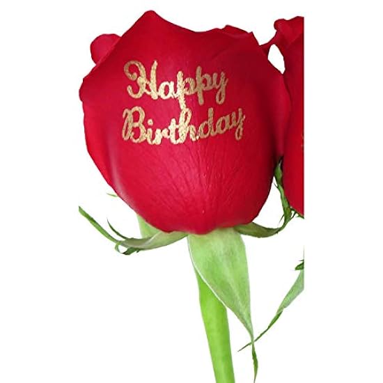 Write a Rose Beautiful Rot Rose with Happy Birthday Message In Gold | Fresh Cut Flower | Single Rose | Next Day Delivery 196154704
