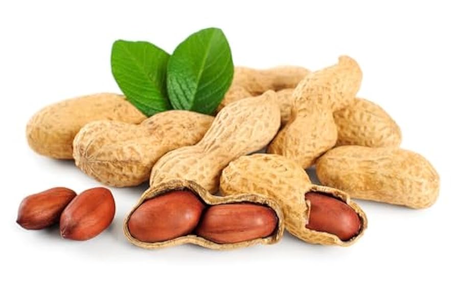 Raw Peanuts (2 Pounds (Pack of 6)) 513569892