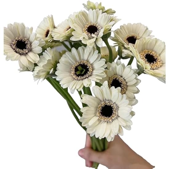 18 stems Flowers Mini Weiß Gerbera Loose Flowers Wholesale Home Hydroponic Flower Arrangement Gifts For Home Decoration Birthdays Anniversaries Healing Sympathy Friendship and Love 92296373