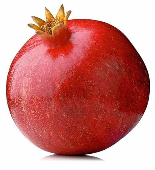Fresh Pomegranate XL Fruit Set of 6 604706195