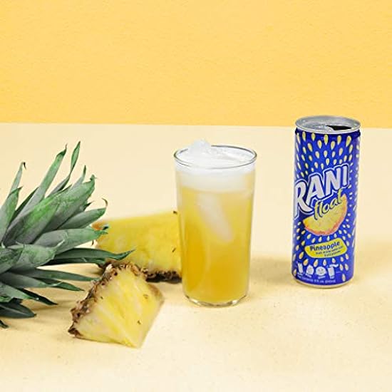 Rani Float Fruchtsaft Drink, Pineapple,Imported from Dubai, Made with Real Fruit Pieces, Low Sugar 8 oz, Pack of 24 982859163