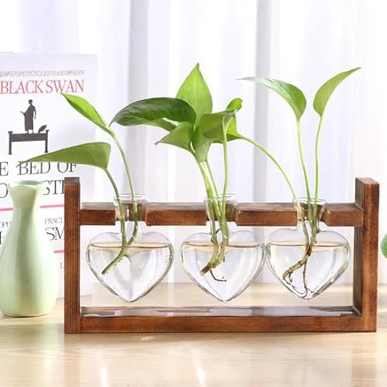 Elegance in Bloom: Glass and Wood Vase Planter for Hydroponics, Bonsai, and Flowers China / Type 1 654659530