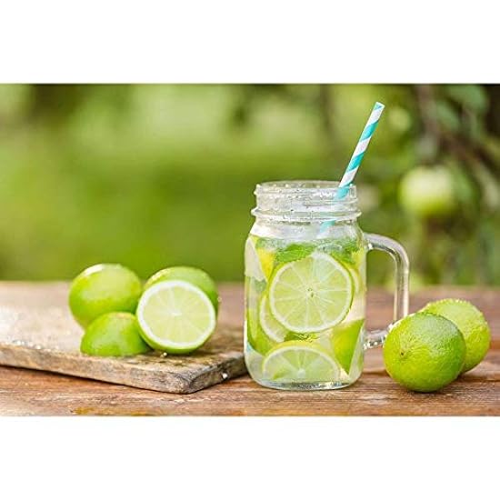 Ruby Kist Lime Juice, 1 Gallon - 4 per case. 732318800
