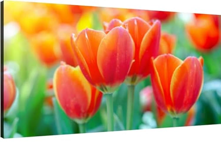 Canvas Wall Art for Living Room Bedroom Bouquet multicolor tulips fresh spring flowers Big Large Wall Art Decor Framed Painting Wall Pictures Prints Artwork Office 773552799