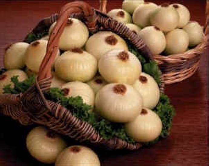 Vidalia Sweet Onions - 10 LB 838682500