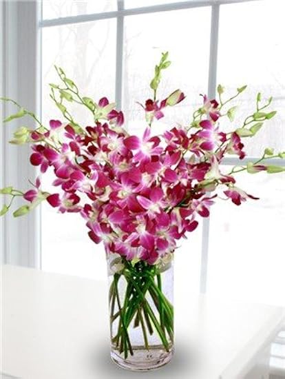 eflowerwhoesale Premium Cut Purple Orchids (20 stems with Vase) 209135740