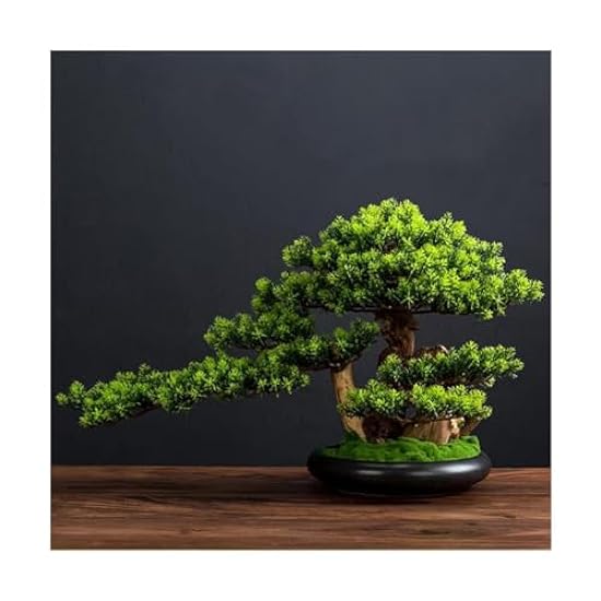 EverGrün Artificial Bonsai Tree Easy Maintenance Bonsai Plant with Pot and Moss Easy Care Artificial Tree for Desktop Display 538285799