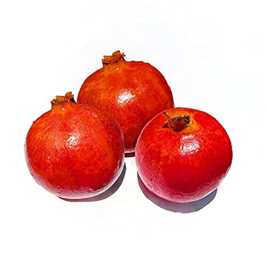 Kejora Fresh Jumbo Pomegranate Set of 3 - XL size 397643236
