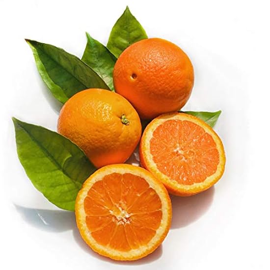 Kejora Valencia Oranges (24) 466167737