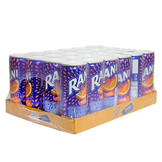Rani Float Fruit Juice, Orange, Imported from Dubai, Made with Real Fruit Pieces, Low Sugar 8 oz, Pack of 24 921473150