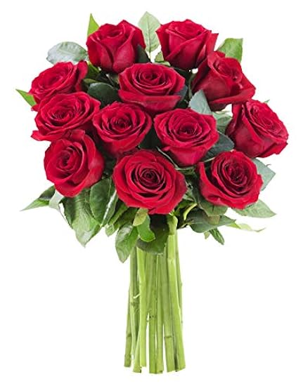 DELIVERY by Tue, 02/20 Guaranteed IF Order Placed by 02/19 Before 2PM EST. KaBloom Valentine´s PRIME NEXT DAY DELIVERY-The Romantic Bouquet of 12 Fresh Rot Roses Gift for Valentine, Mother’s Day 949556081