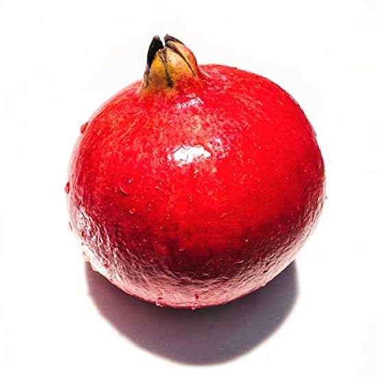 Kejora Fresh Jumbo Pomegranate Set of 3 - XL size 397643236