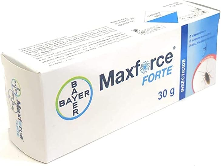 seasol Price Bayer Maxforce Forte - 30g (Pack of 3) 328
