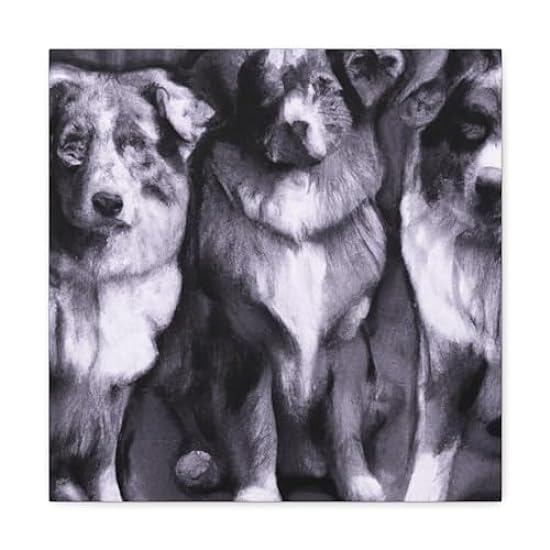 Aussie Shepherd Fauvism - Canvas 16″ x 16″ / Premium Ga