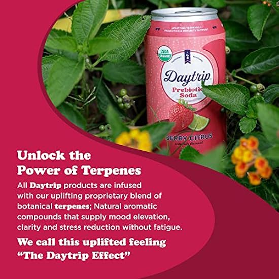 Daytrip Sparkling Prebiotic Soda Flavor | Fiber Enriched Low Calorie & Low Sugar Soft Drinks | Getränke with Gut Health & Immunity Benefits - Mood Boosting & Stress Reducing Properties | All Natural USDA ORGANIC 12oz (12 Pack)(Berry Citrus) 534232031