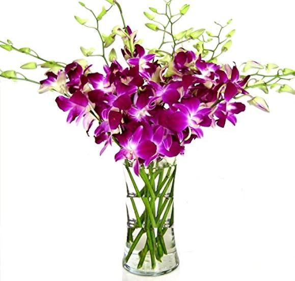 Fresh Cut Flowers -Dendrobium Purple Orchids with Vase Gift for Birthday, Sympathy, Anniversary, Get Well, Thank You, Valentine, Mother’s Day Flowers 674591067