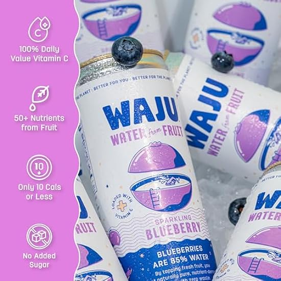 WAJU Organic Sparkling Blauberry Wasser, No Added Sugar, Immune Support with 100% DV Vitamin C, Antioxidant Nutrients, Environmentally Friendly Sourcing - 12 pack (12 oz) 335162986