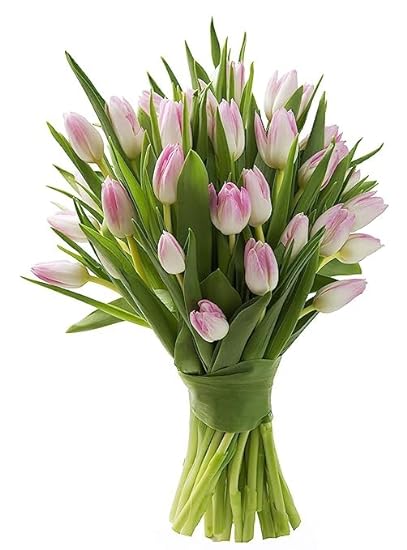 DELIVERY by Tue, 02/20 Guaranteed IF Order Placed by 02/19 Before 2PM EST. KaBloom Valentine´s PRIME ORVERNIGHT DELIVERY - Serene Sympathy Bouquet of 30 Pink Tulip 913774663
