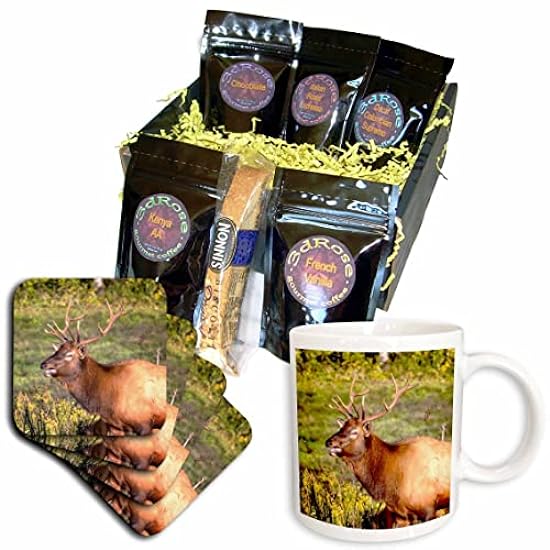 3dRose Mike Swindle Photography - Wildlife - Closeup of elk - Kaffee Gift Baskets (cgb_351719_1) 206391399