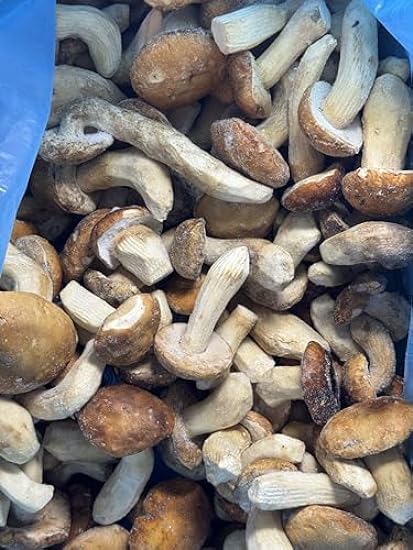 Whole Mushrooms Porcini (Italy), Fresh, Frozen, 4lb 22535427