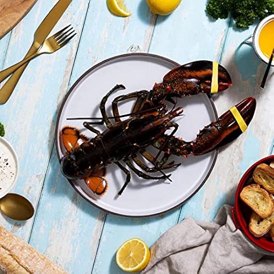 Maine Lobster Now: 6 Pack of 1.5 lb Live Maine Lobster 