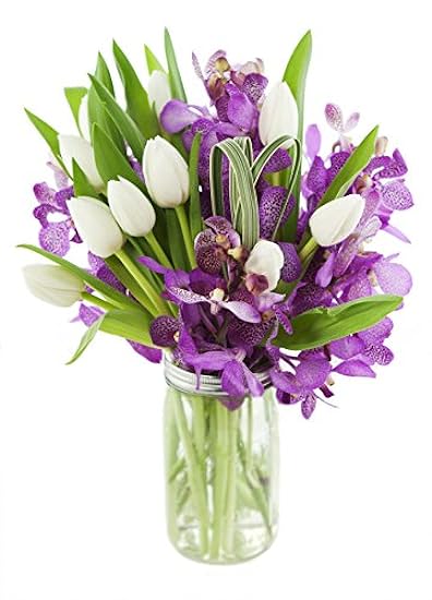 KaBloom PRIME NEXT DAY DELIVERY - Mokora Zen with Tulips with Vase Perfect .Gift for Birthday, Sympathy, Anniversary, Get Well, Thank You, Valentine, Mother’s Day Fresh Flowers 374061280