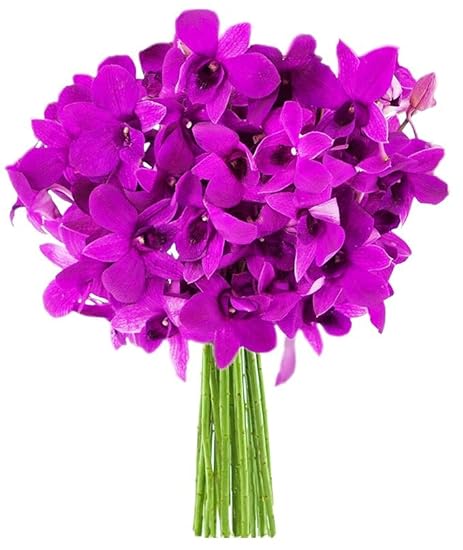 DELIVERY by Tue, 02/20 Guaranteed IF Order Placed by 02/19 Before 2PM EST. KaBloom Valentine´s PRIME NEXT DAY DELIVERY-Exotic Sapphire Orchid Bouquet of 10 Blau Orchid Gift for Valentine, Mother’s Day 294255950