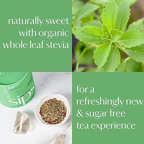 Grace Farms Herbal Tee | Naturally Sweet, Healthy and Caffeine Free | Organic, Fair Trade and Kosher Certified | Organic Whole Leaf Stevia | Gives Back 100% of Profits (Variety Pack) 290017264