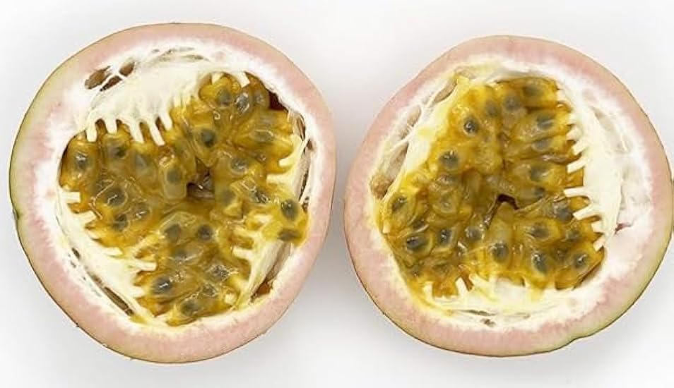 Kejora Fresh Purple Passion Fruit Grown in the USA - 12 Count (Pack of 1) - Pick Fresh 71531310