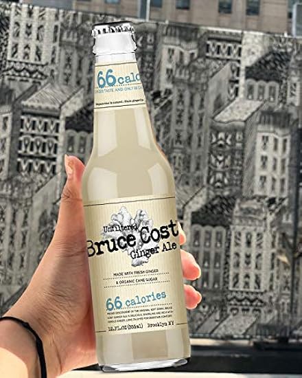 Bruce Cost Unfiltered Ginger Ale - BC 66 with Monk Fruit - 12 oz (24 Glass Bottles) 891856984