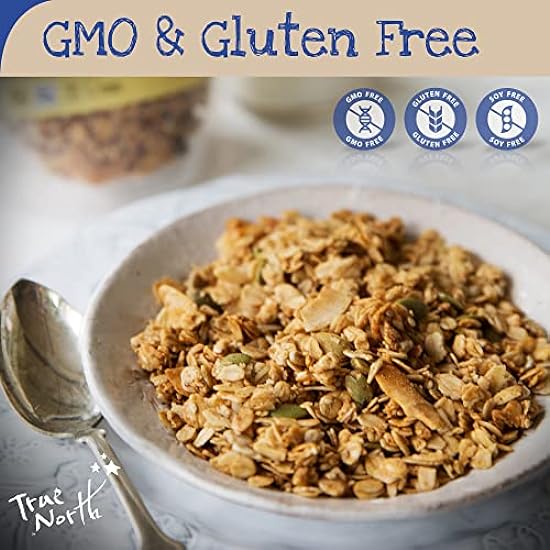 True North Granola – Gluten Free Maple Vanilla Granola, Low Carb, Nut Free and Non-GMO, Bulk Bag, 25 lb. 250007825