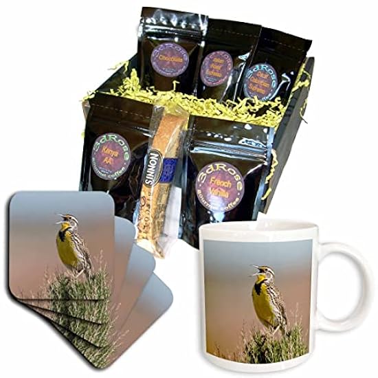 3dRose Danita Delimont - Birds - Western meadowlark singing - Kaffee Gift Baskets (cgb-367113-1) 163405353