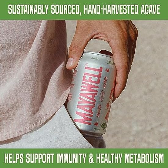 MAYAWELL Bubbly Prebiotic Soda: No Stevia or ACV, Supports Gut Health & Immunity, Low Sugar & Low Calorie Drinks, Organic Agave, Fiber, Healthy Soda, Sparkling Beverage (12 pack) Raspberry Cucumber 748897716