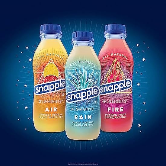 Snapple 12-Pack of Elements Rain Agave Cactus Juice Drink 16 fl oz Plastic Bottle + 6 Bamboo Straws by Unique Outlet 346012597