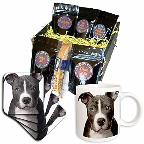 3dRose American Pit Bull Terrier Puppy Kaffee Gift Bask