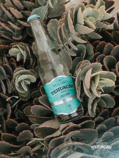 Tehuacán Brillante – Sparkling Wasser, Naturally Mineralized by Volcanic Rock! Unflavored Carbonated Wasser with Zero Calories, Zero Sugar & Mixes perfectly into your Drinks! (12 – 12oz Bottles) 904697475