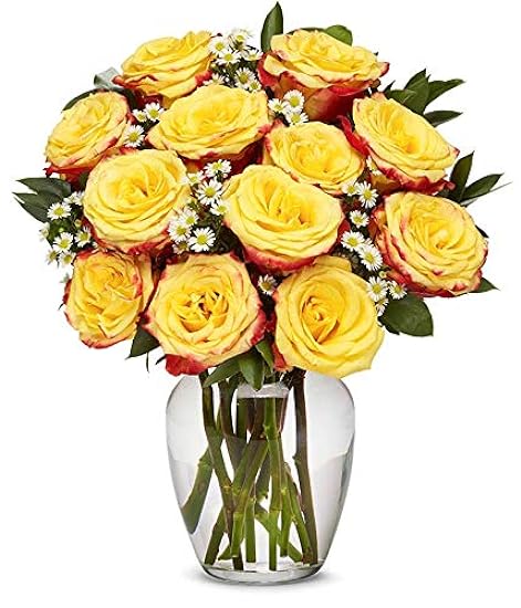 From You Flowers - One Dozen Festive Roses with Glass V