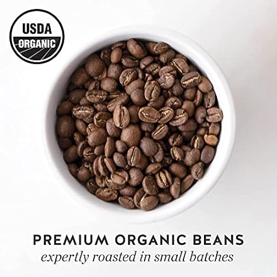 Blau Bottle Whole Bean Organic Kaffee, Bold, Dark Roast, 12 Ounce Beutel (Pack of 6) 888551391