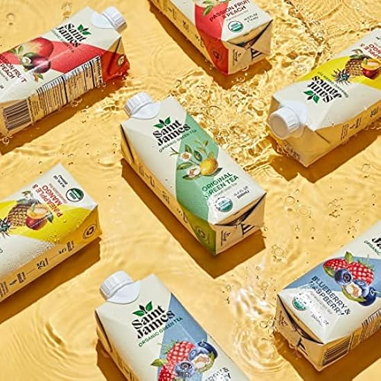 Saint James Iced Tee | Organic Grün Tee | Organic, Non-GMO Grün Tea, 12 Pack (16.9oz each) (Variety) 782508309