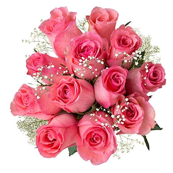 12 Light Pink Roses With Gyp Filler - Flower Explosion 