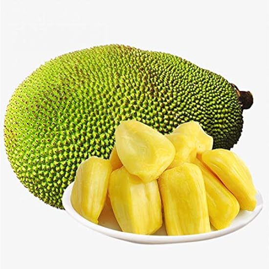 Fresh Whole Jackfruit (One Fruit 5-7 Lbs) (Fresh Whole Jackfruit (One Fruit 12-15 Lbs)) 764735693